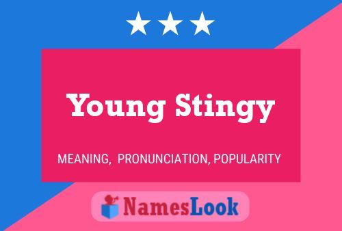 Young Stingy 名字海报