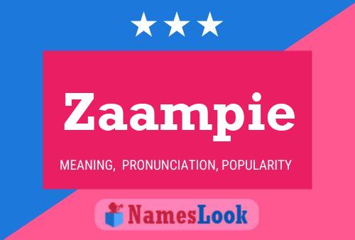 Zaampie 名字海报