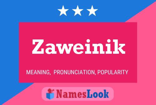 Zaweinik 名字海报