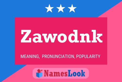 Zawodnk 名字海报