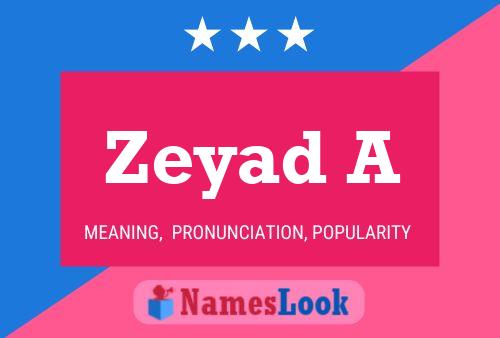 Zeyad A 名字海报