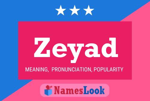 Zeyad 名字海报