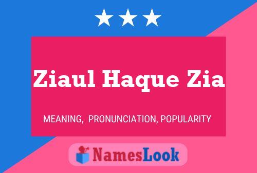 Ziaul Haque Zia 名字海报