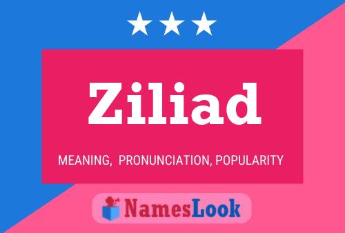 Ziliad 名字海报