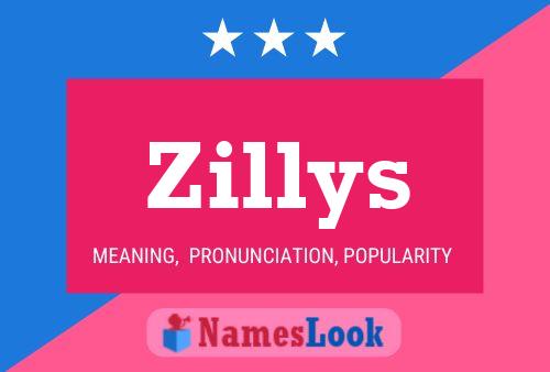 Zillys 名字海报