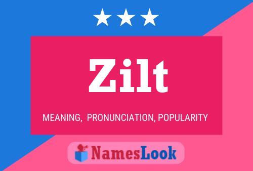 Zilt 名字海报