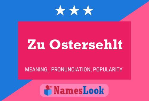 Zu Ostersehlt 名字海报