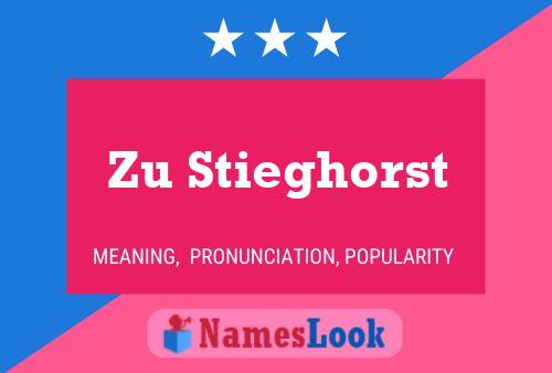 Zu Stieghorst 名字海报