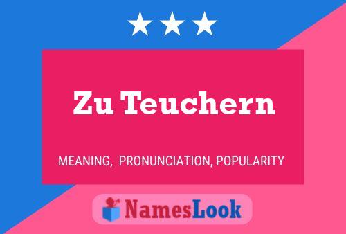 Zu Teuchern 名字海报