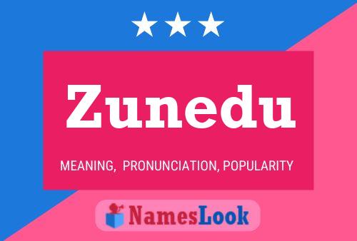 Zunedu 名字海报