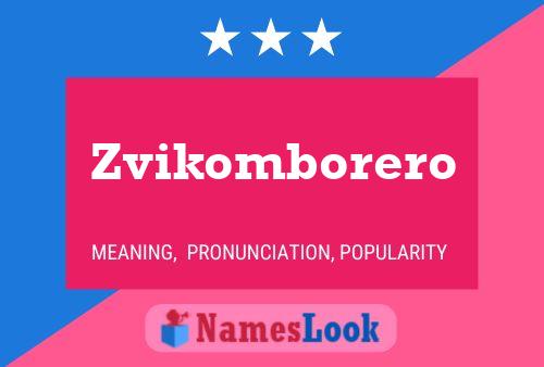 Zvikomborero 名字海报